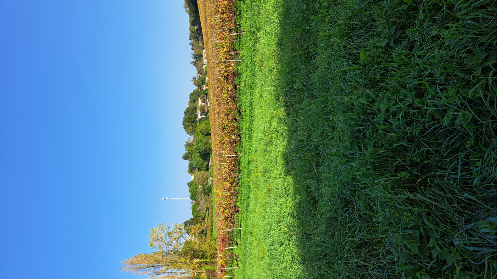 Terrain constructible de 503m2 à Le Taillan-Médoc