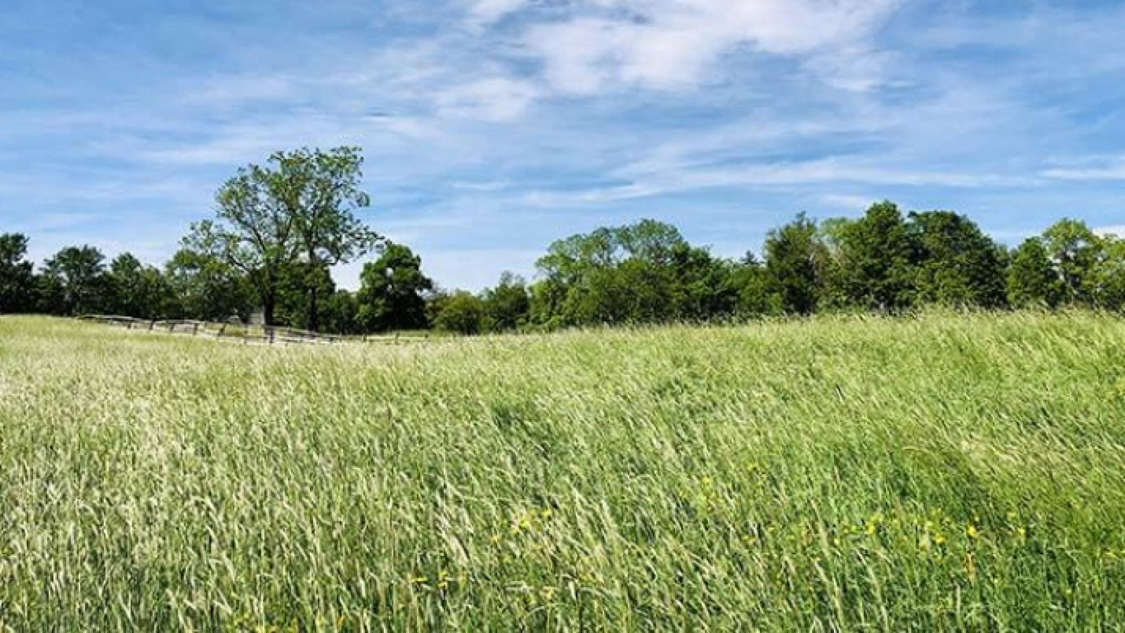 Terrain constructible de 938m2 à Notre-Dame-d'Oé
