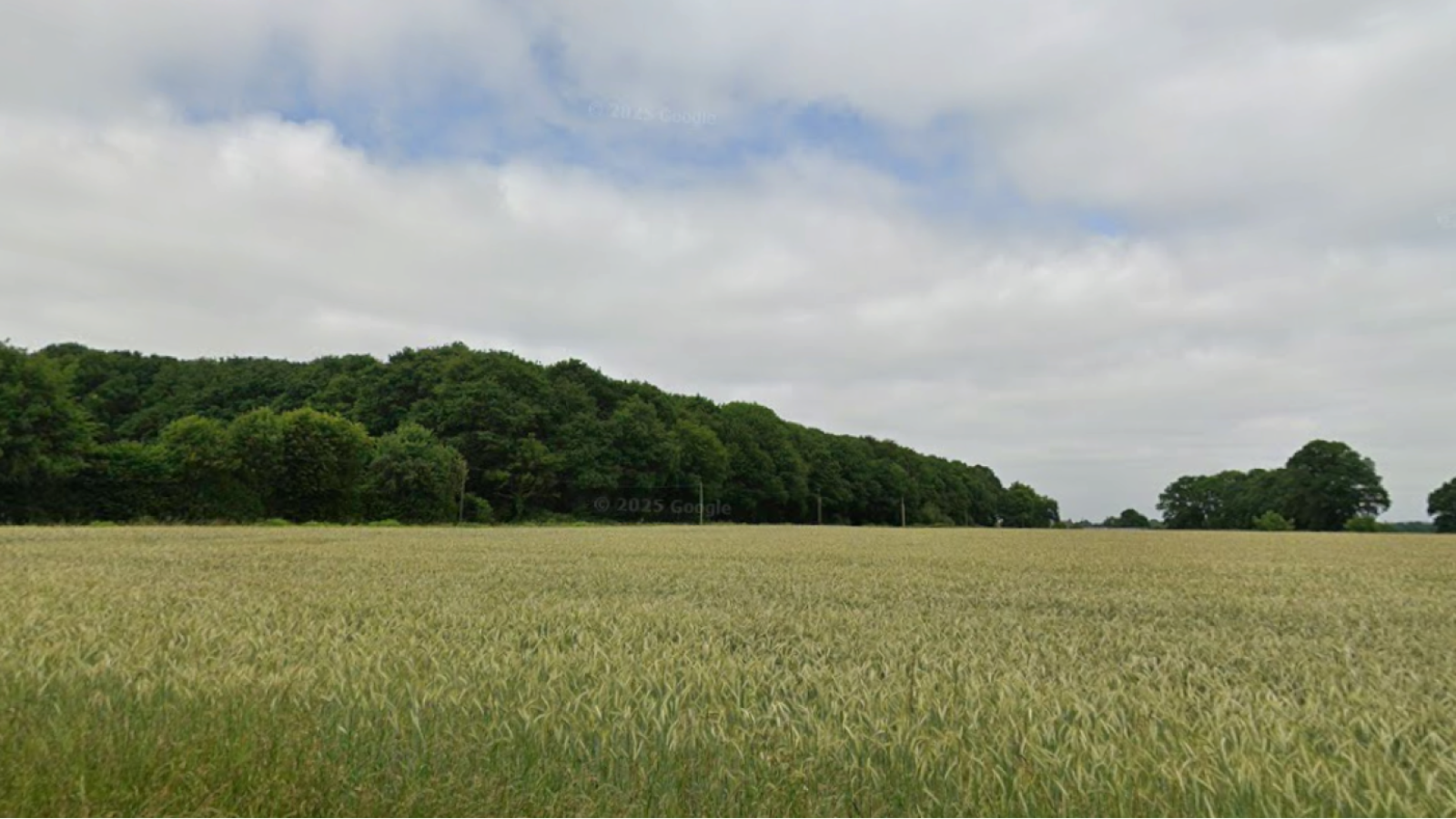 Terrain constructible de 698m2 à Saint-Sauveur-des-Landes
