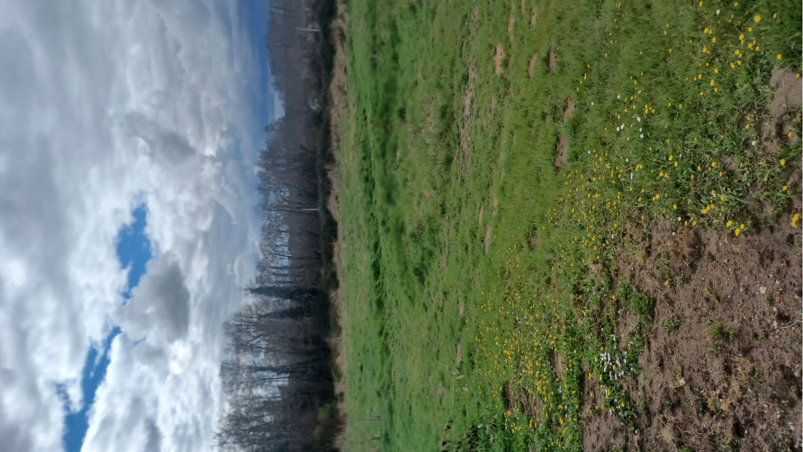 Terrain constructible de 826m2 à Maransin