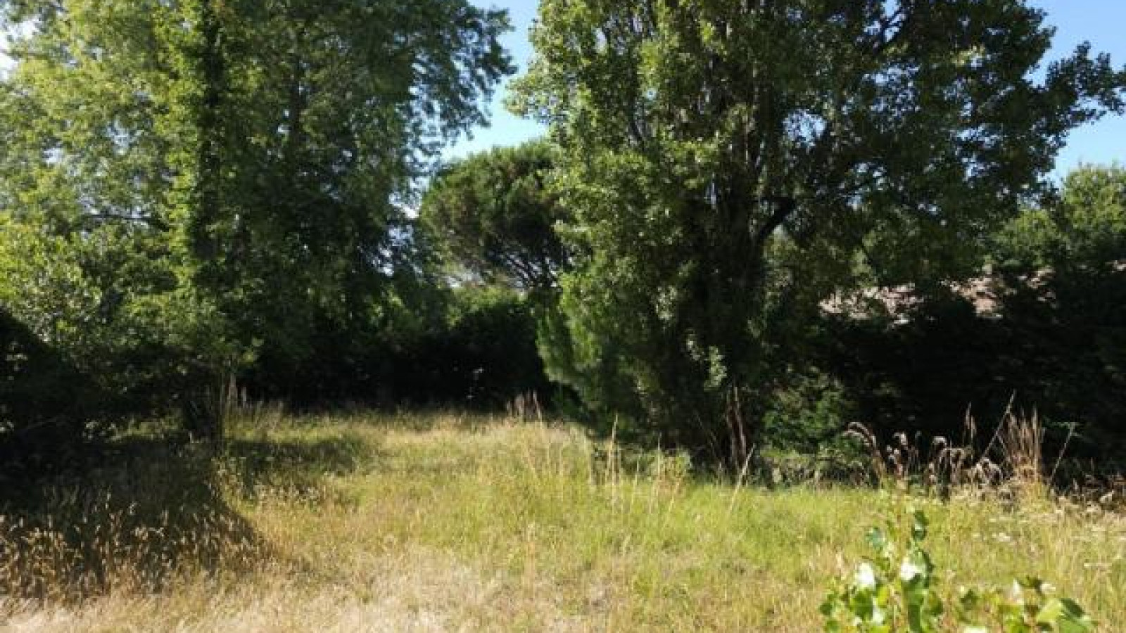 Terrain constructible de 720m2 à Lège-Cap-Ferret