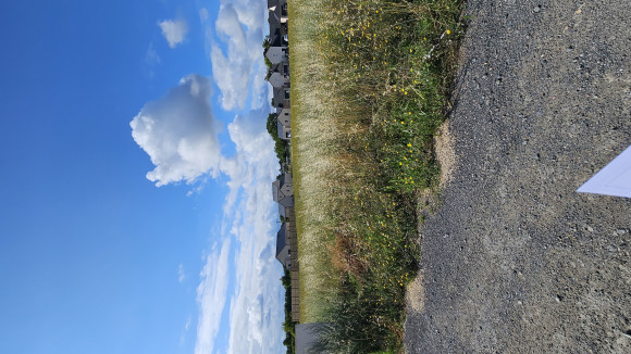 20250801_102919.jpg