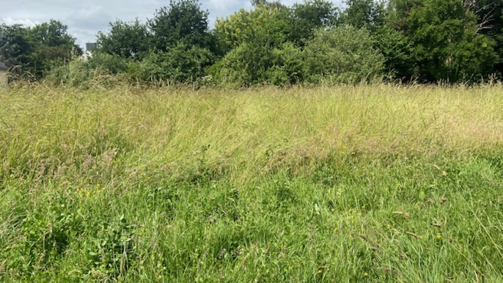 Terrain constructible de 1400m2 à Pontchâteau