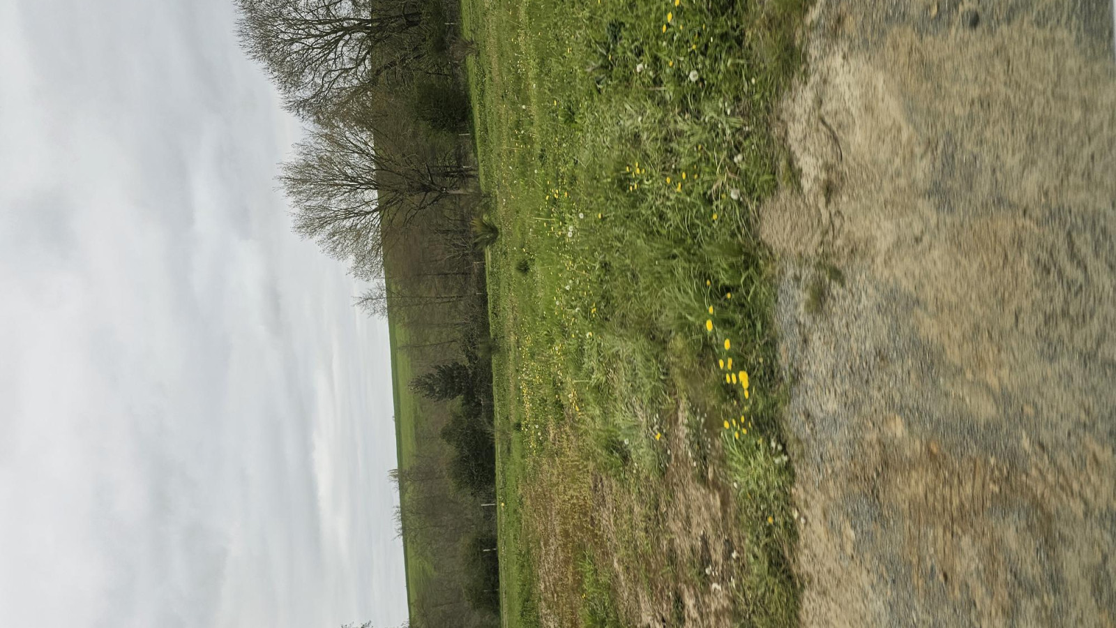 Terrain constructible de 571m2 à Cholet