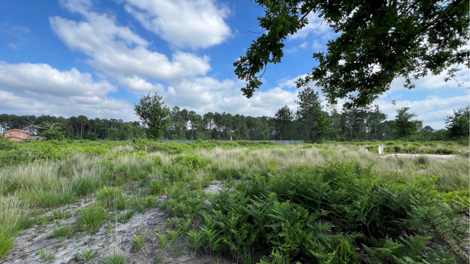 Terrain constructible de 612m2 à Arcins