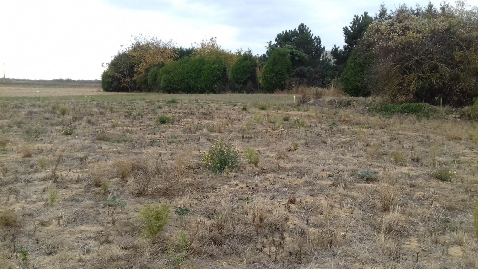 Terrain constructible de 450m2 à Aufferville