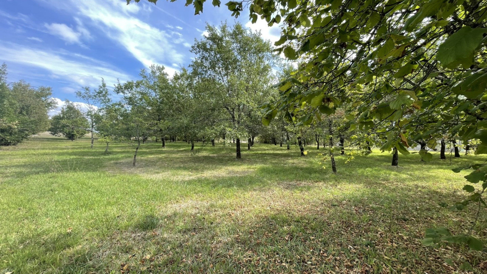 Terrain constructible de 1850m2 à Bonnes