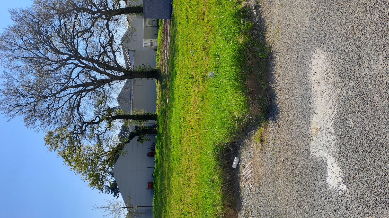 Terrain constructible de 446m2 à Essé