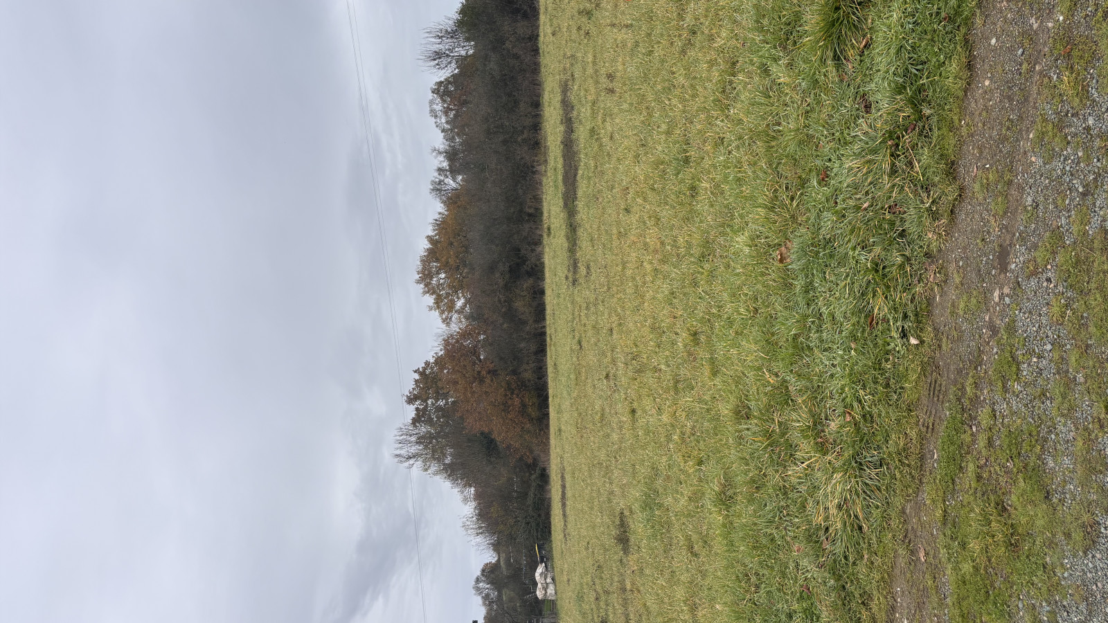 Terrain constructible de 463m2 à Beaulieu-sur-Layon
