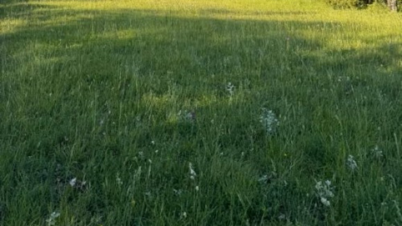 terrain essaie.jpg