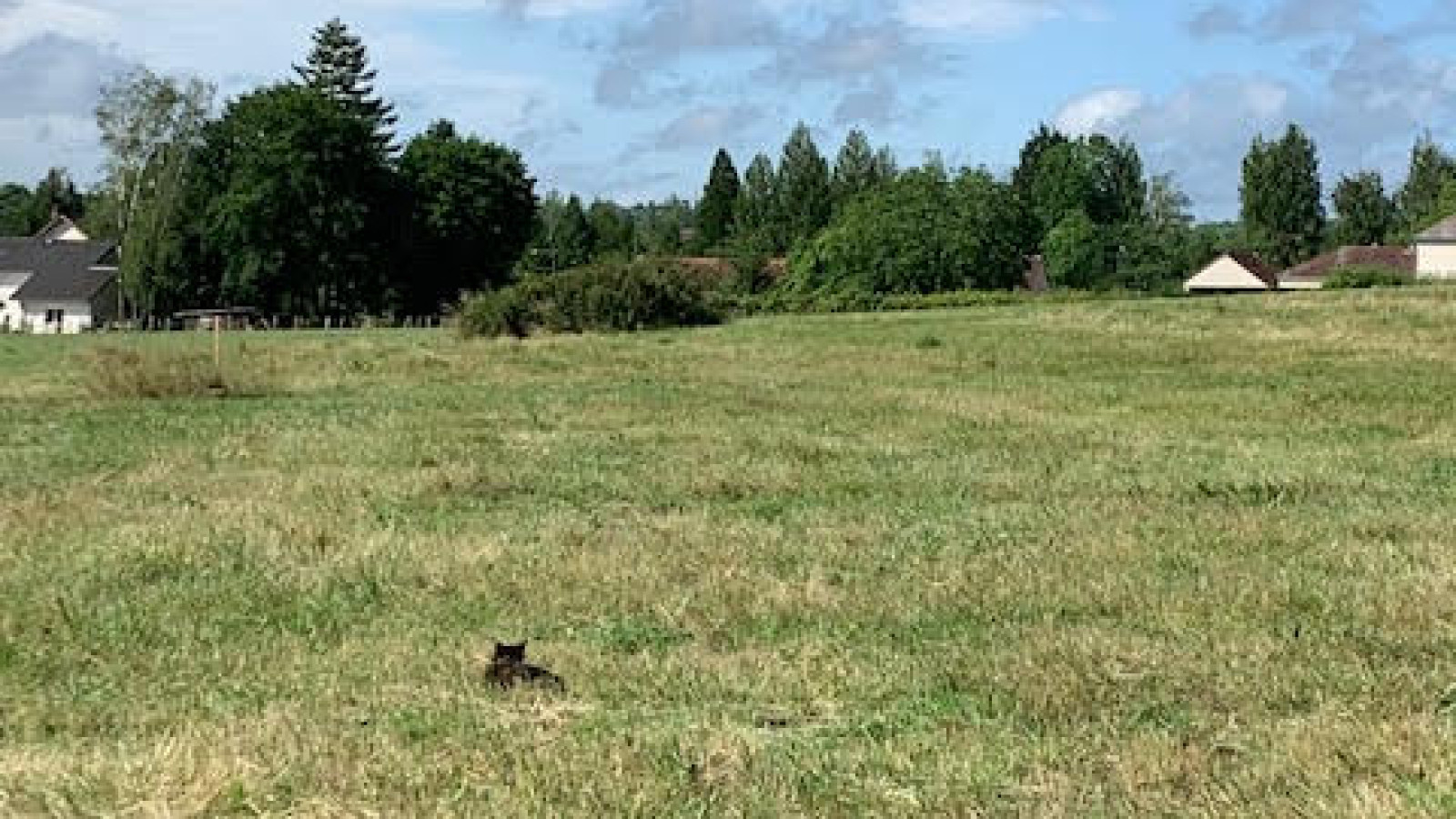 Terrain constructible de 660m2 à Maxilly-sur-Saône