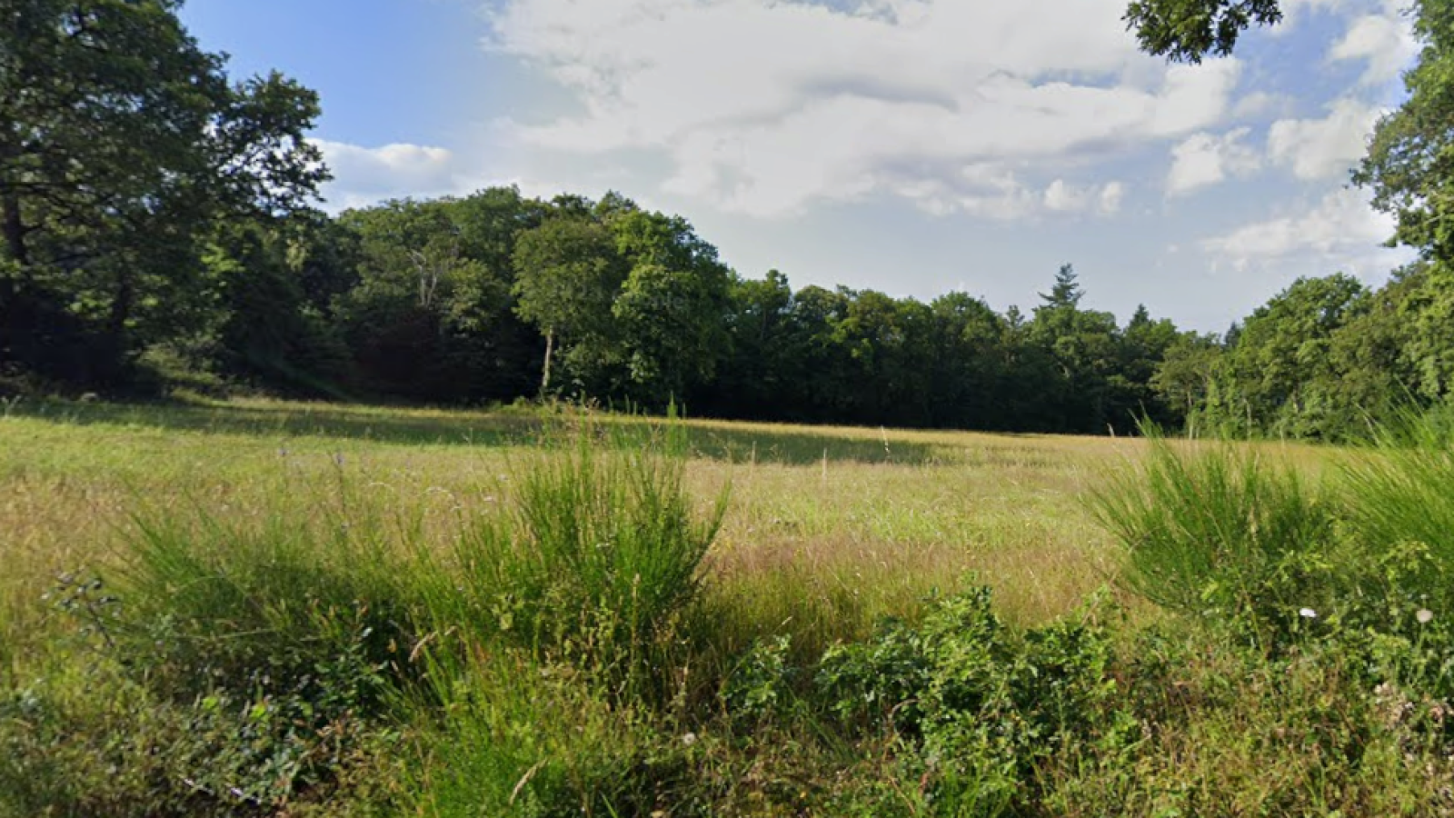 Terrain constructible de 313m2 à Landujan