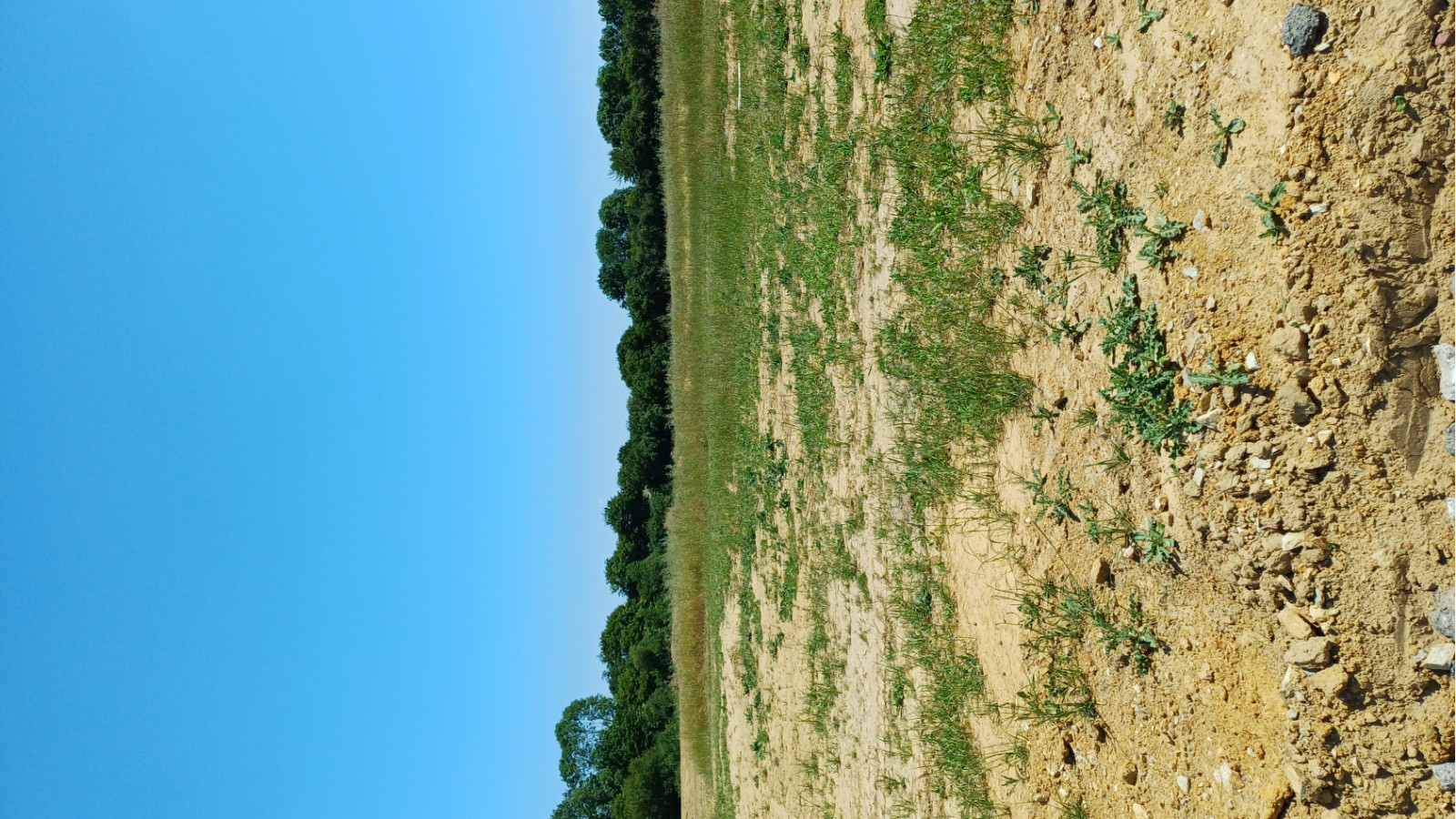 Terrain constructible de 371m2 à Les Herbiers