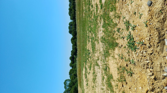 20260525_142935.jpg