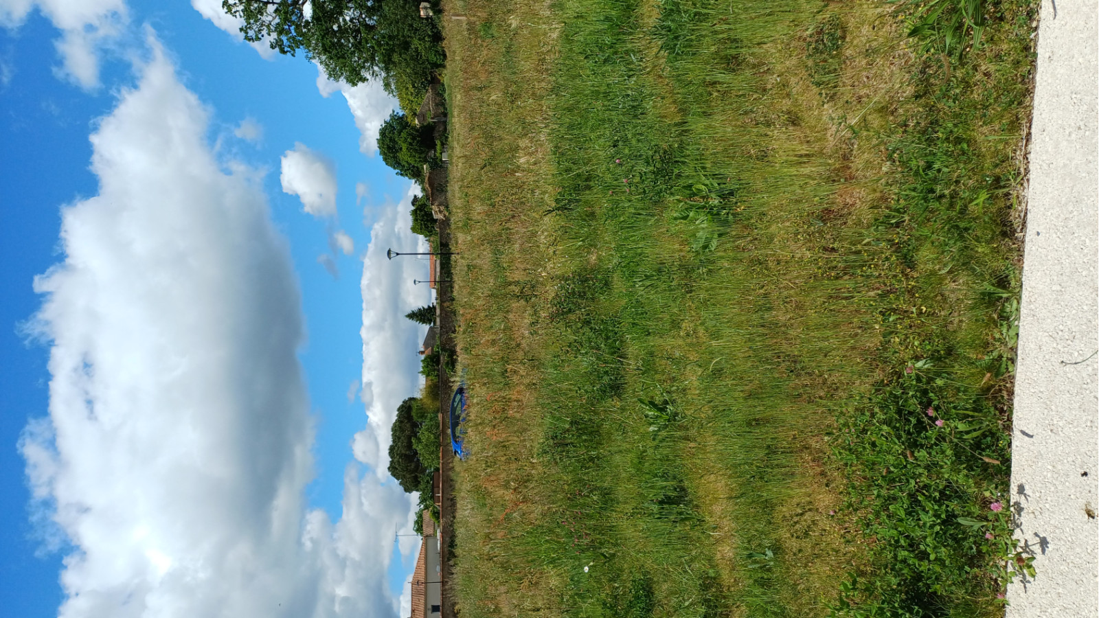 Terrain constructible de 600m2 à Saint-Germain-de-Prinçay