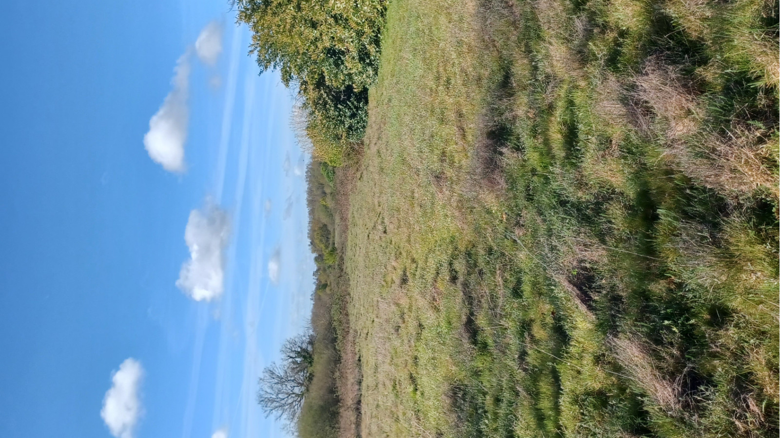 Terrain constructible de 369m2 à Abzac