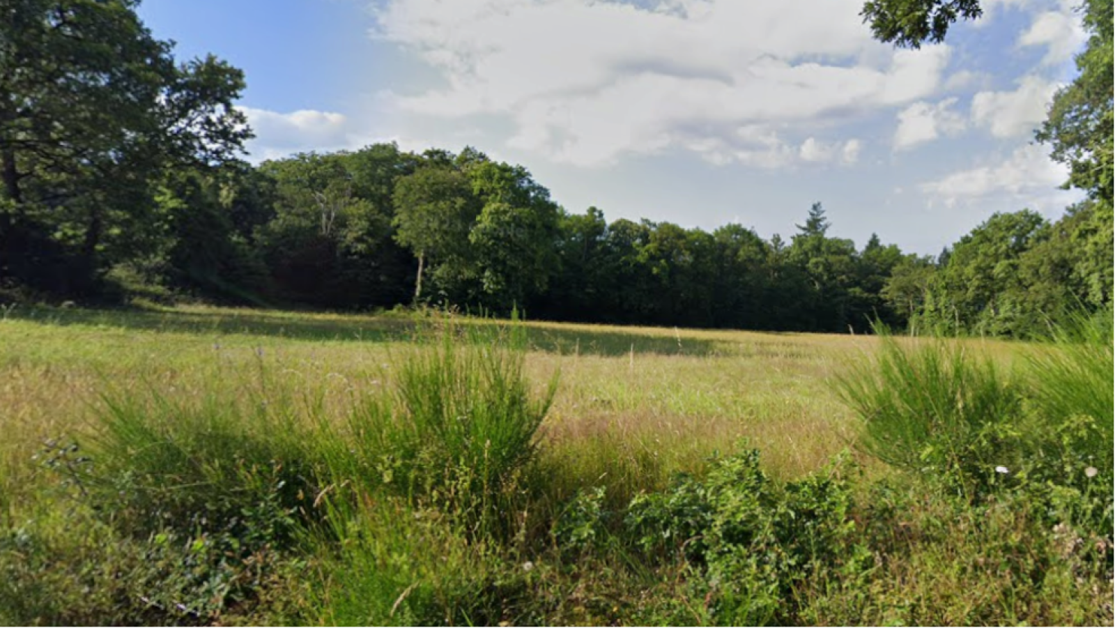 Terrain constructible de 236m2 à Domloup