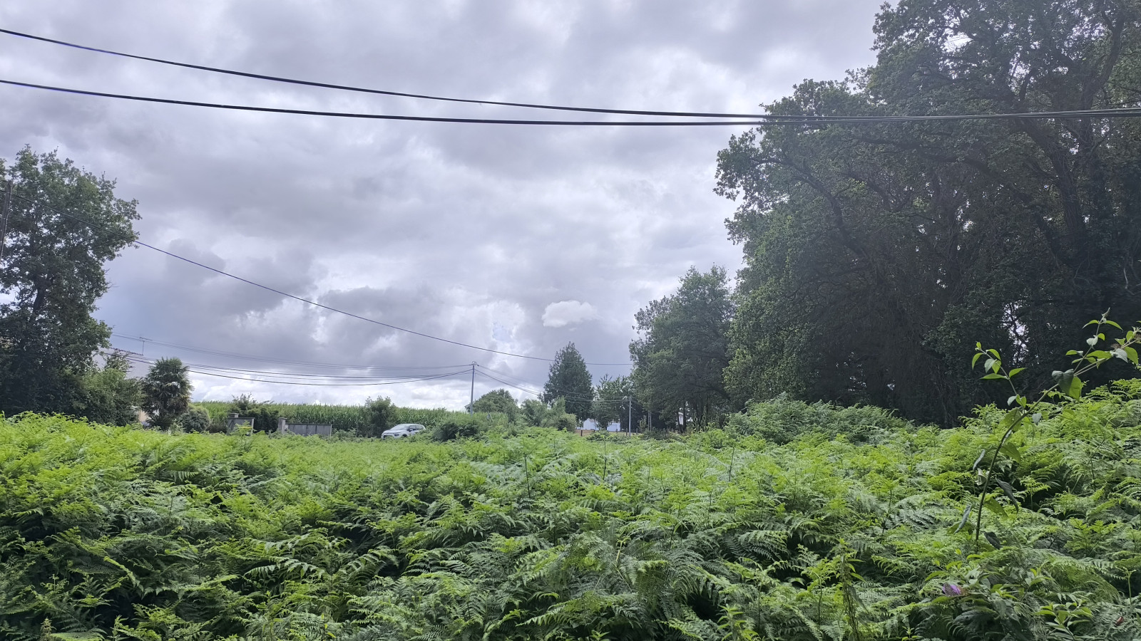 Terrain constructible de 1020m2 à Saint-Joachim