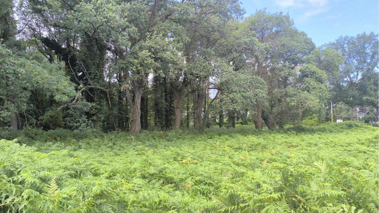 Terrain constructible de 600m2 à Besné