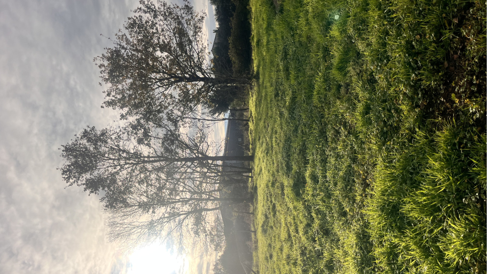 Terrain constructible de 451m2 à Rouans