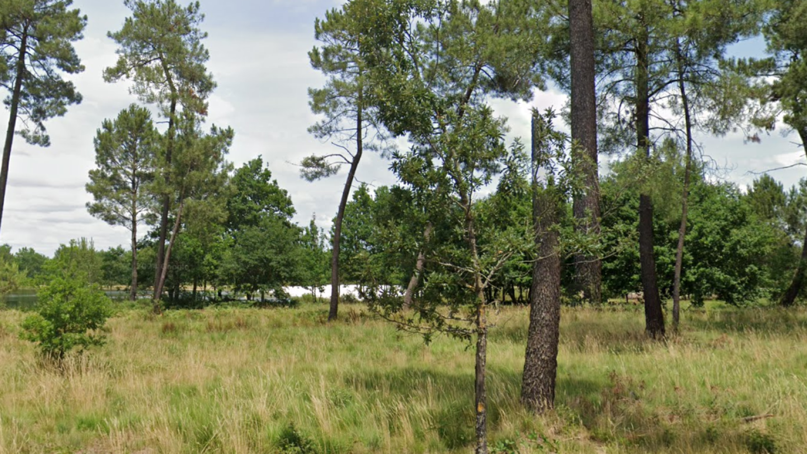 Terrain constructible de 893m2 à Salles