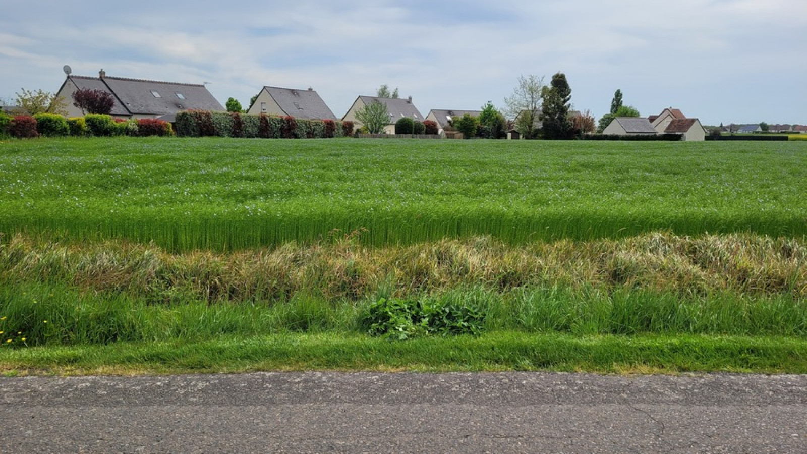 Terrain constructible de 491m2 à Saint-Laurent-en-Gâtines