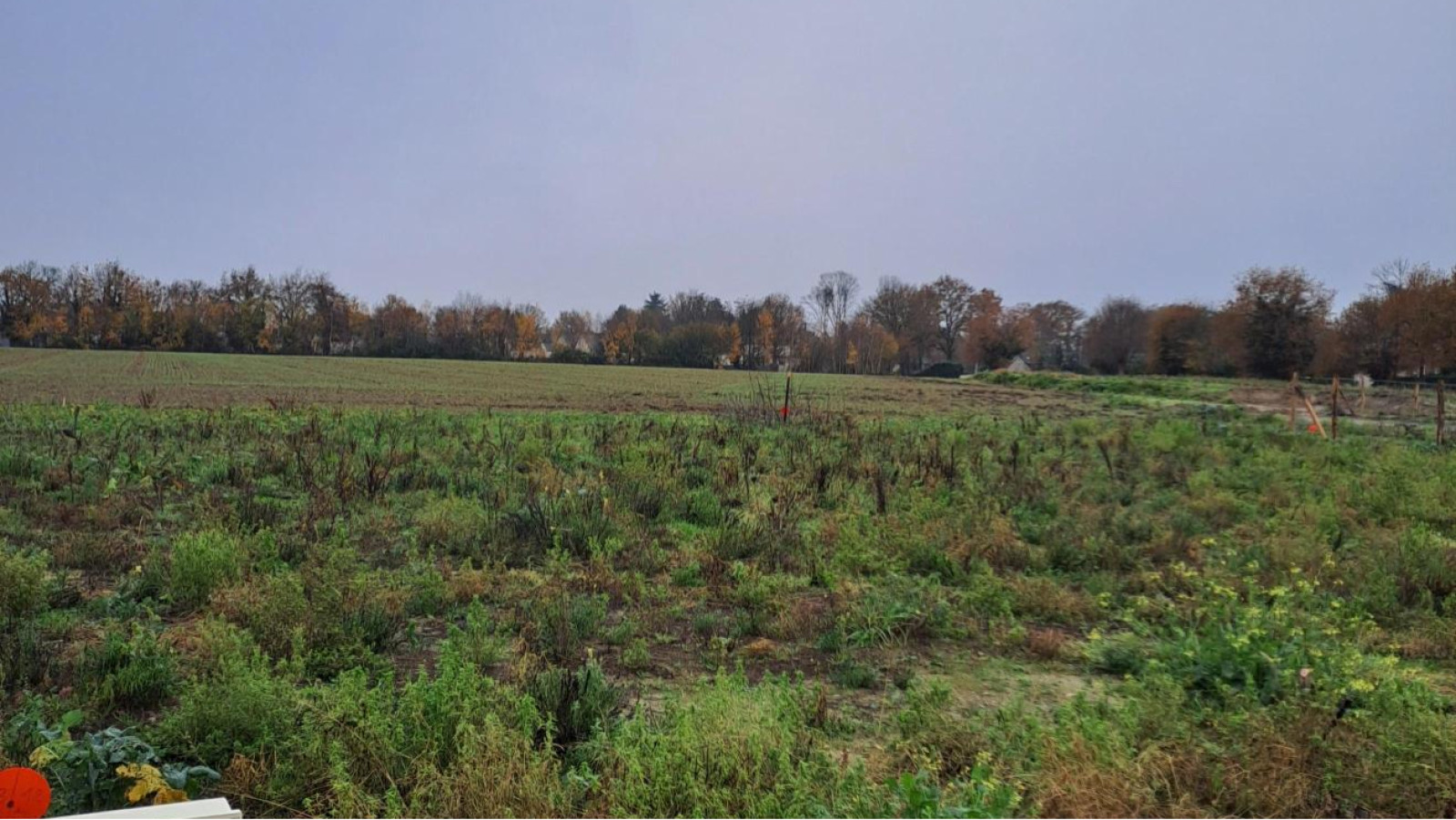 Terrain constructible de 547m2 à Sarrigné