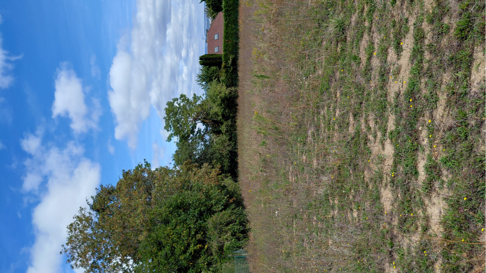 Terrain constructible de 536m2 à Les Alluets-le-Roi