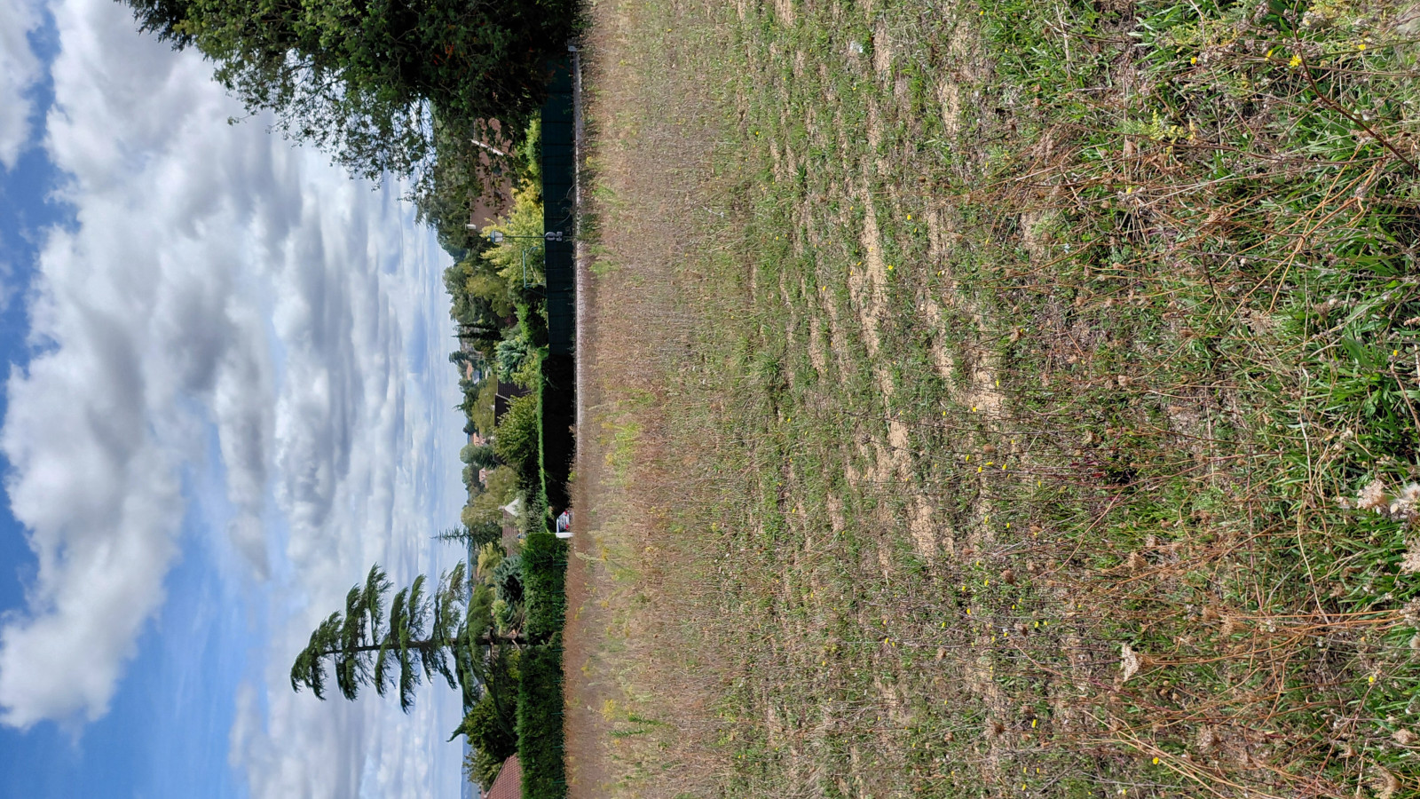 Terrain constructible de 563m2 à Les Essarts-le-Roi