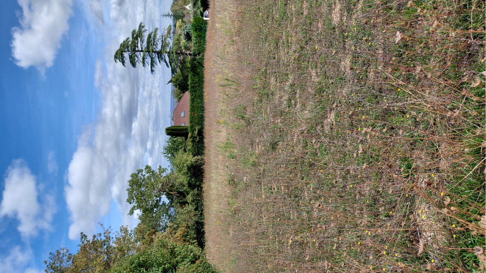 Terrain constructible de 395m2 à Mézières-sur-Seine