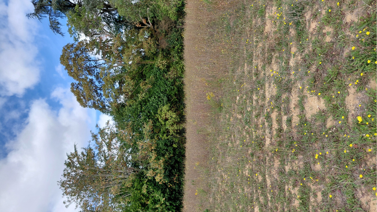 Terrain constructible de 405m2 à Orgeval