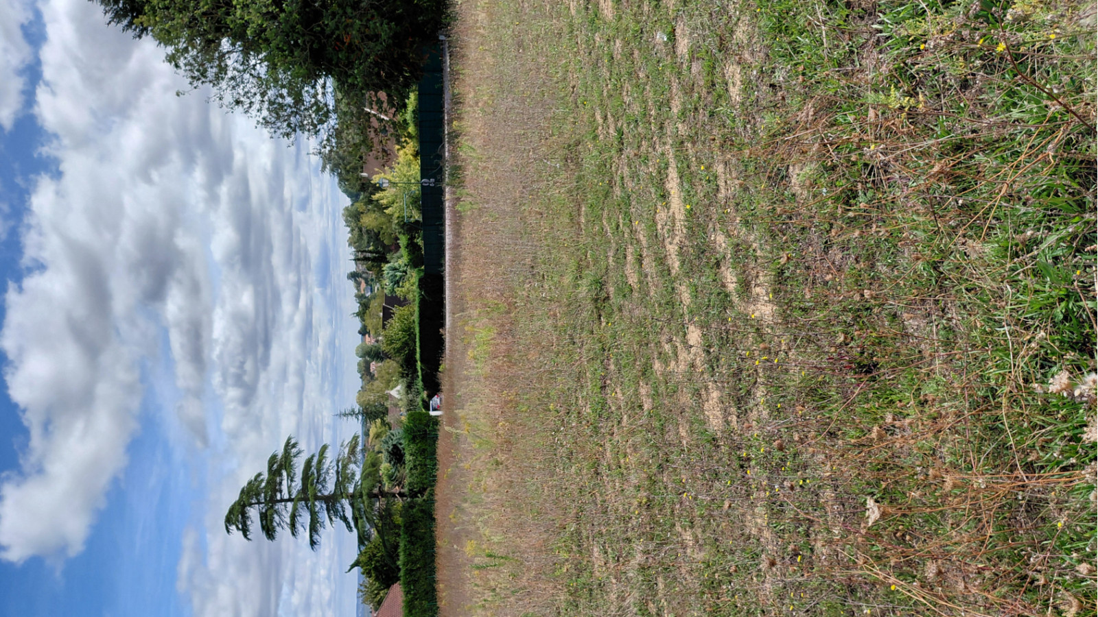 Terrain constructible de 501m2 à Mézy-sur-Seine