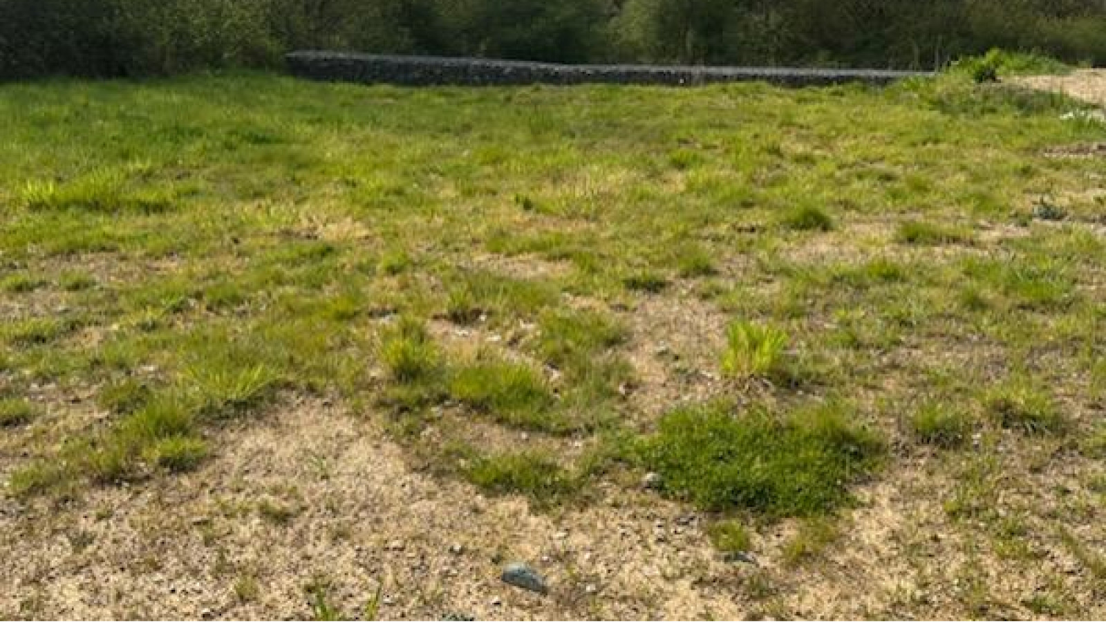 Terrain constructible de 315m2 à Segré-en-Anjou Bleu