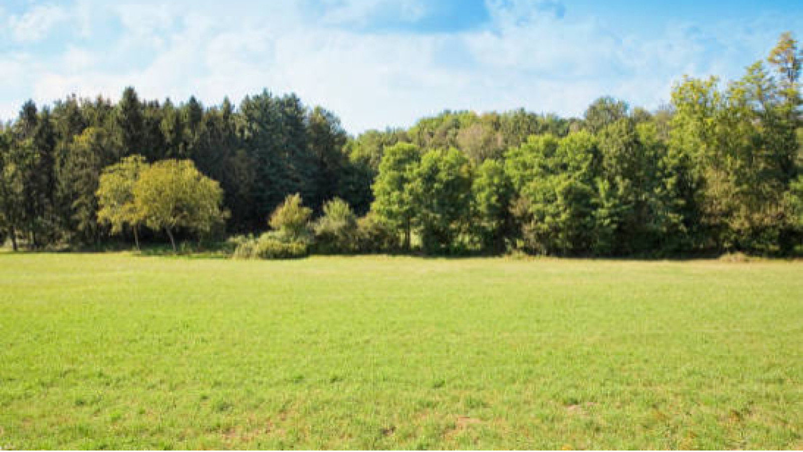 Terrain constructible de 300m2 à Triel-sur-Seine
