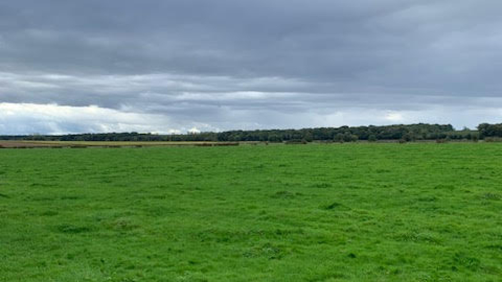 Terrain constructible de 300m2 à Villebichot