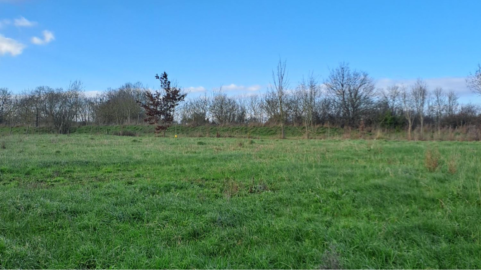Terrain constructible de 477m2 à Sainte-Gemmes-sur-Loire