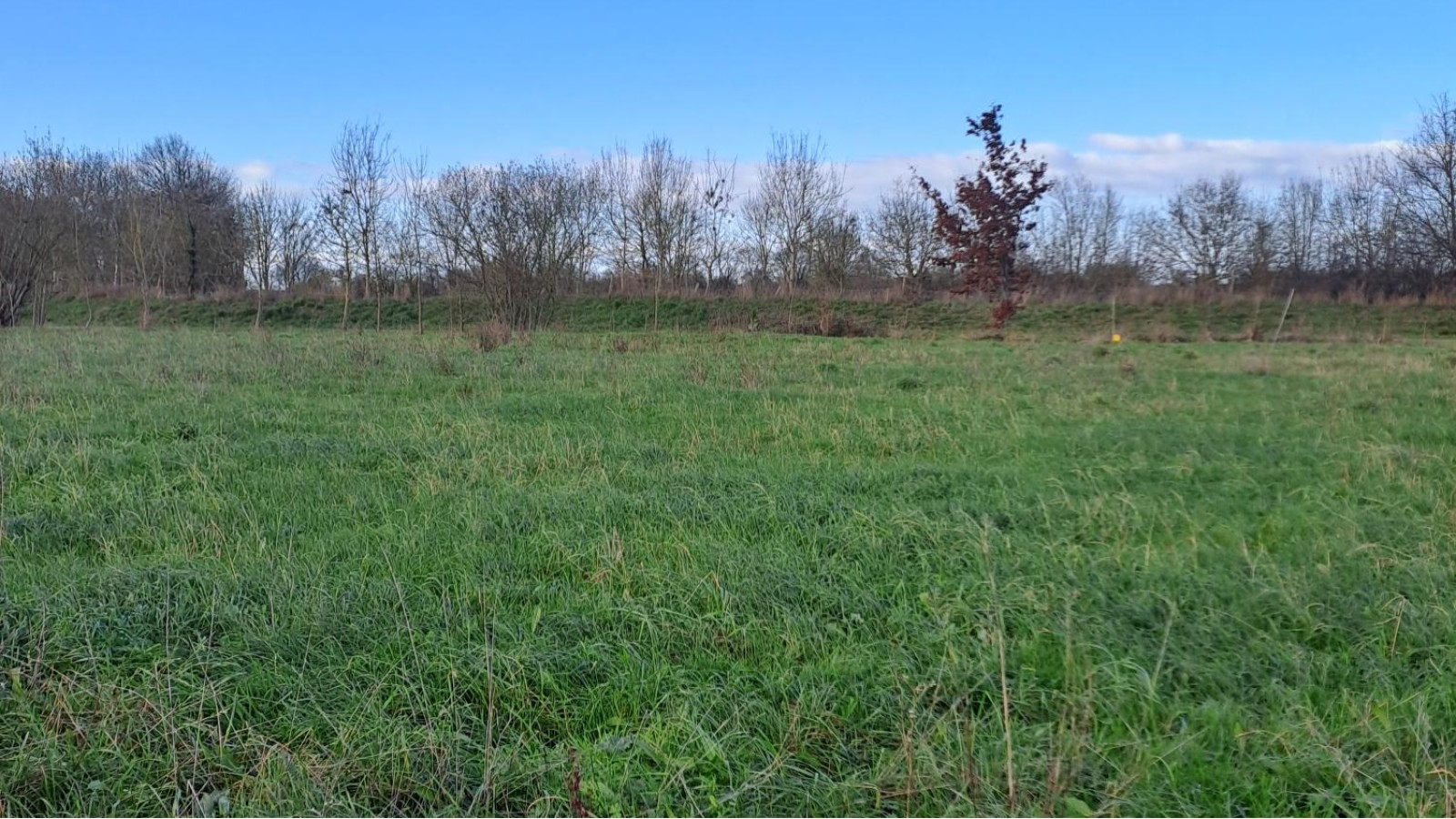 Terrain constructible de 348m2 à Bouchemaine