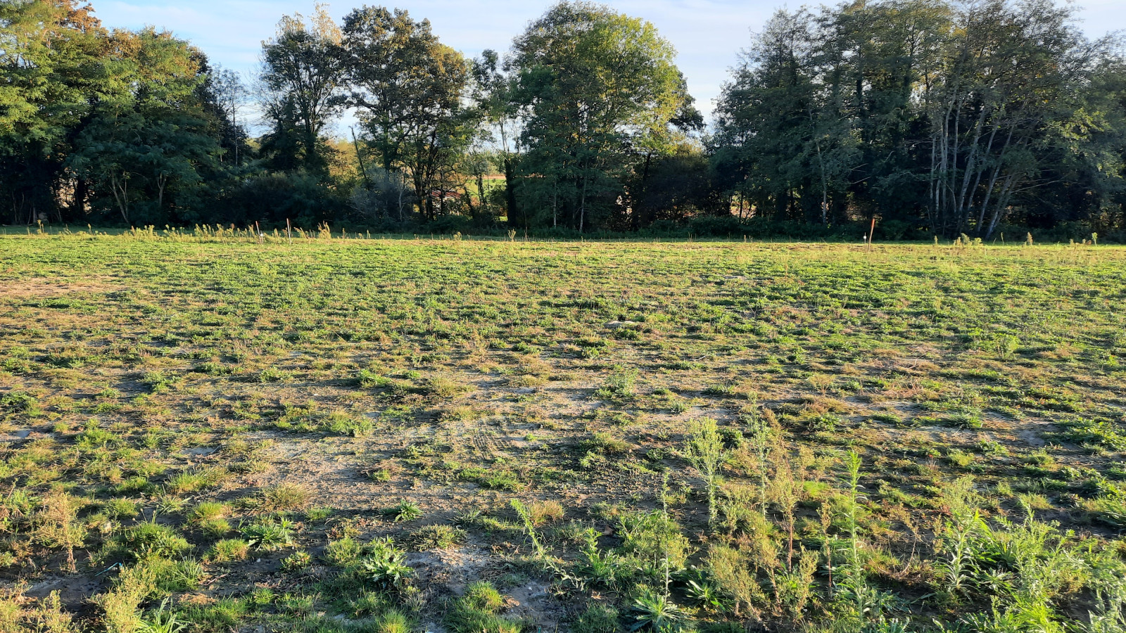 Terrain constructible de 900m2 à Goos