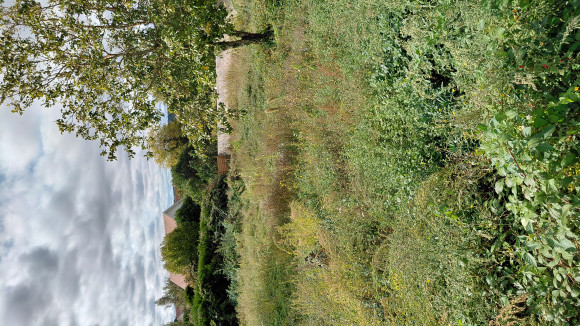 20260917_123500.jpg