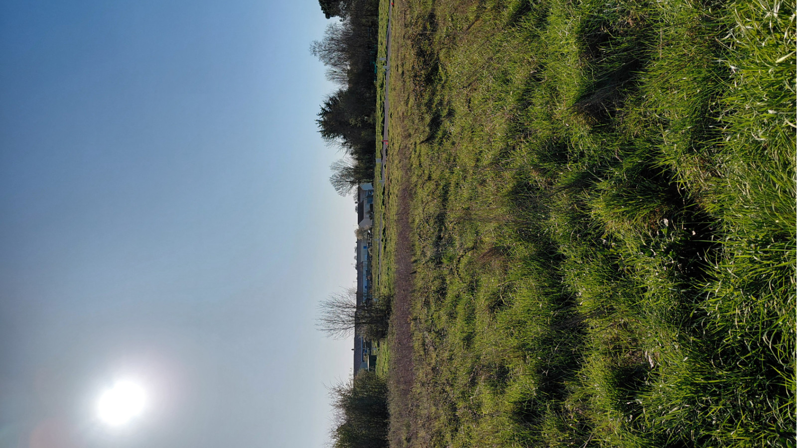 Terrain constructible de 430m2 à Saint-Hilaire-la-Forêt