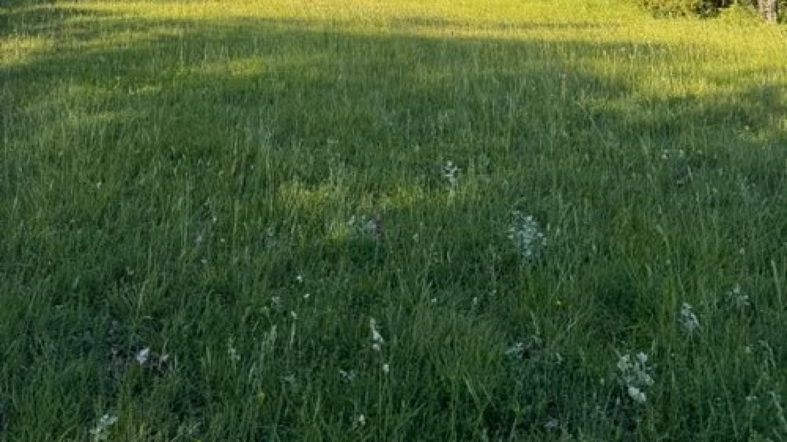 Terrain constructible de 360m2 à Ancenis-Saint-Géréon
