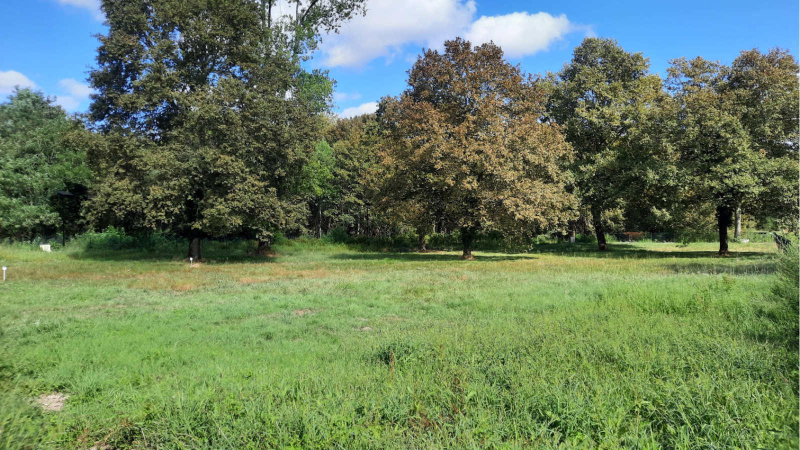 Terrain constructible de 515m2 à Brach