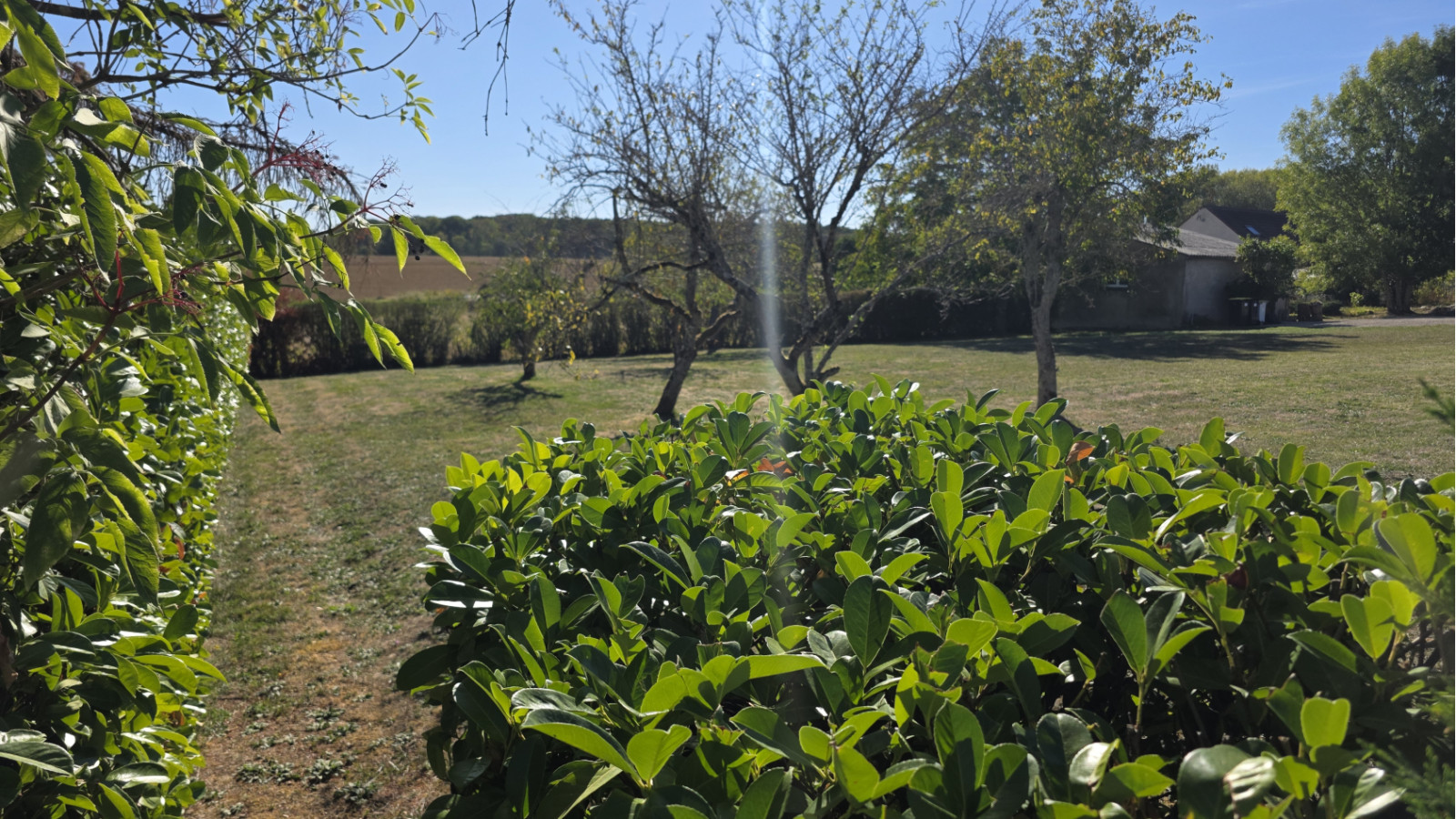 Terrain constructible de 1100m2 à Binges
