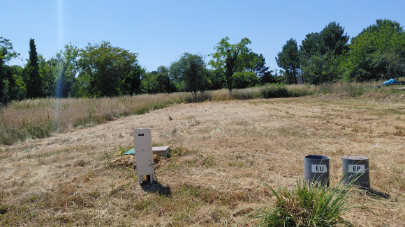 Le Taillan (Germigan).jpg