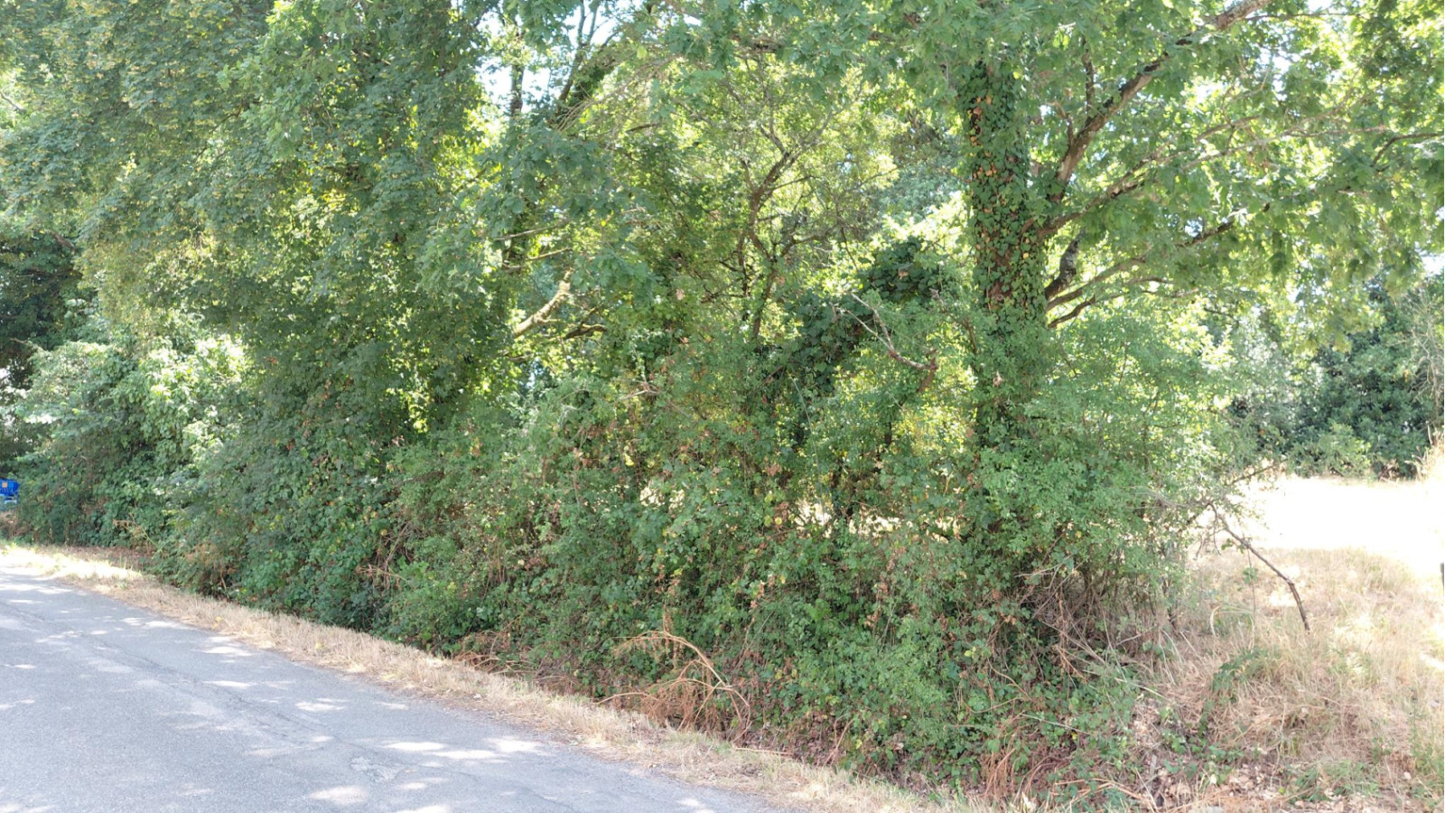 Terrain constructible de 400m2 à Mesquer