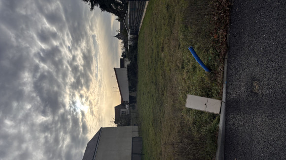IMG_1241.jpeg