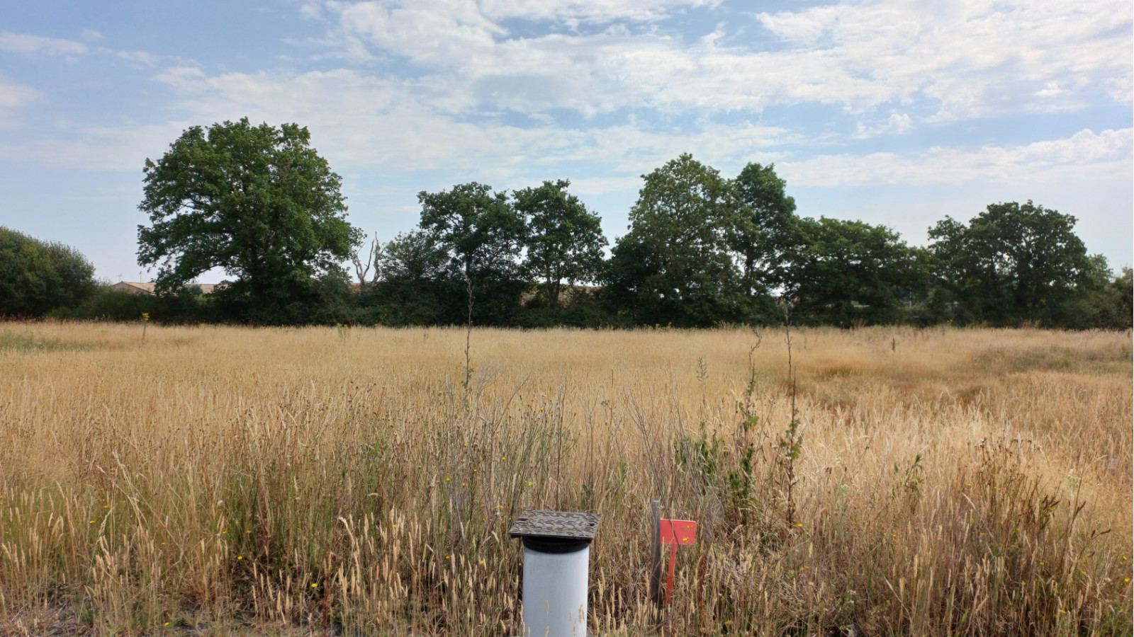 Terrain constructible de 329m2 à Beauvoir-sur-Mer