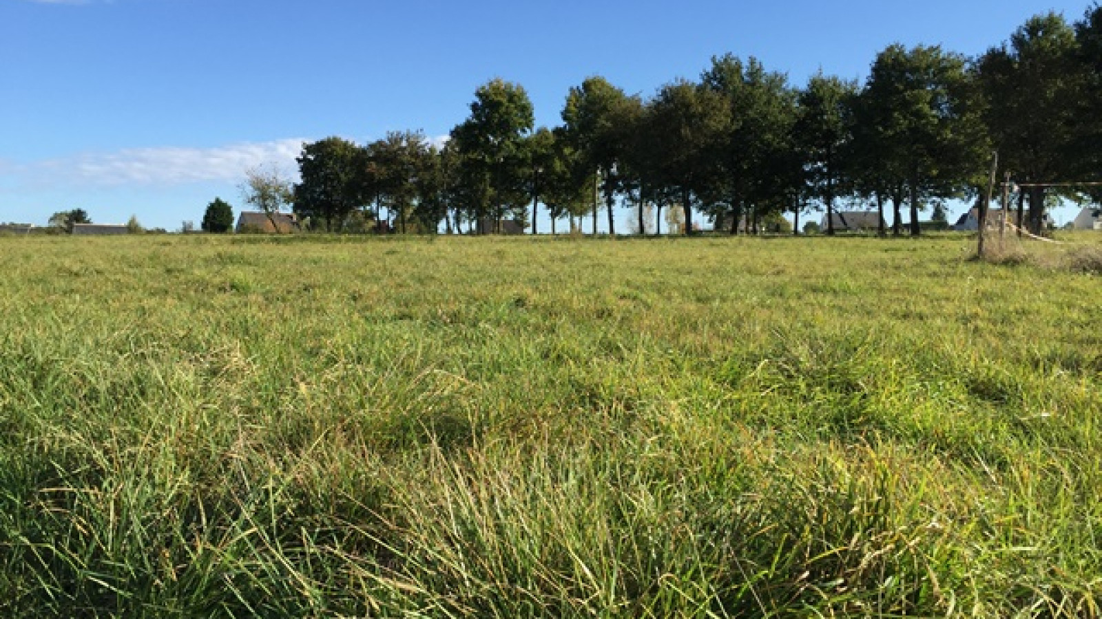 Terrain constructible de 824m2 à Veigné