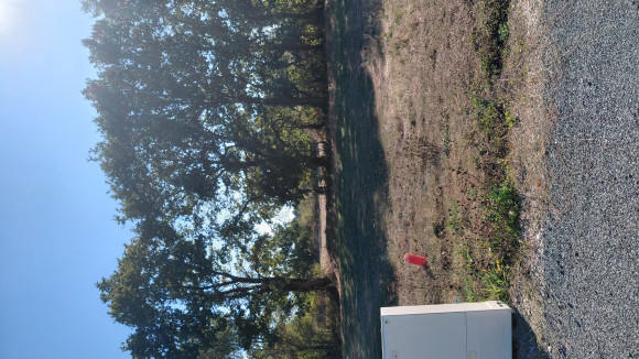 terrain V.jpg