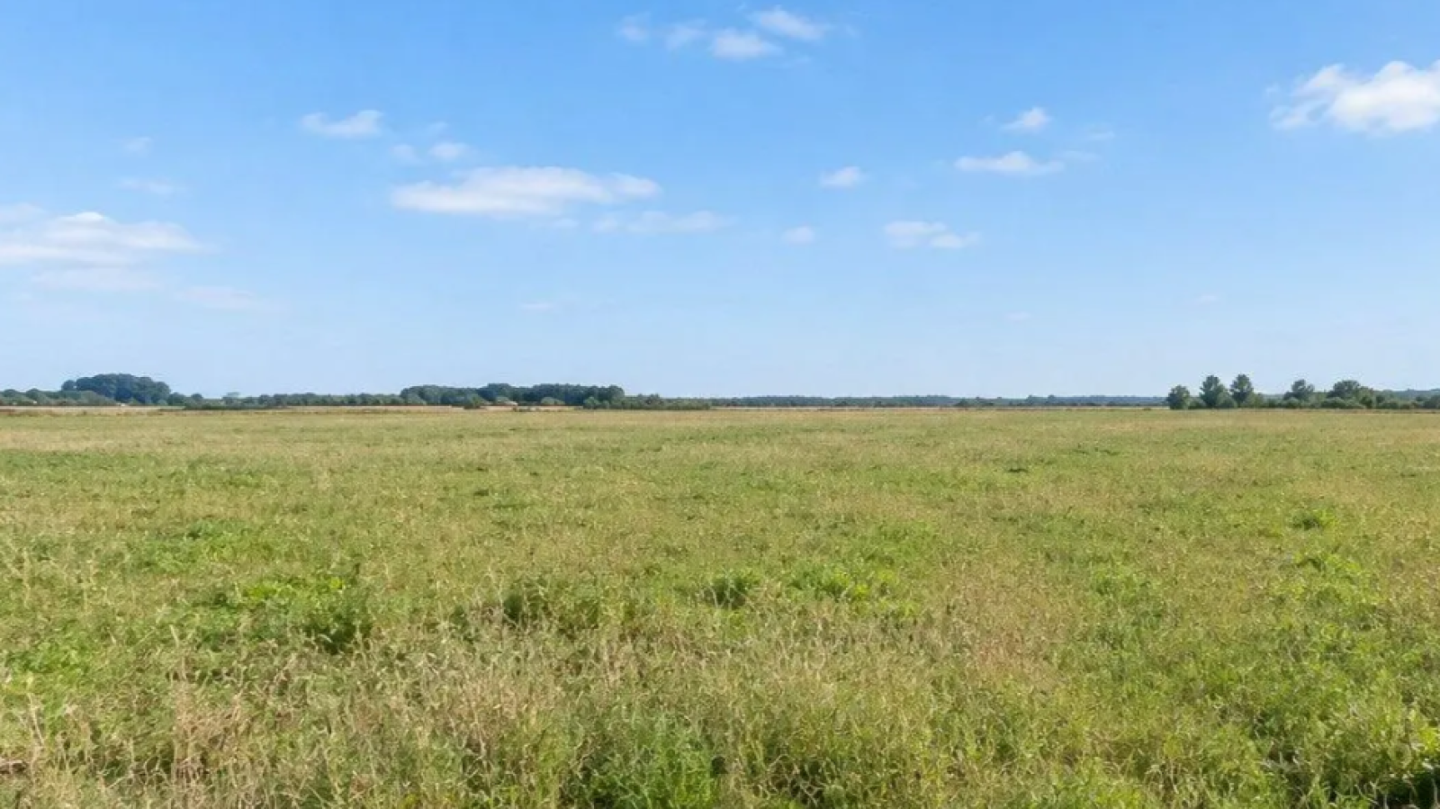 Terrain constructible de 2191m2 à Captieux